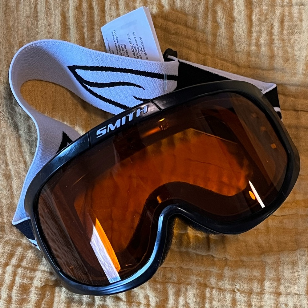 Smith World Cup Ski/Snowboard Goggles